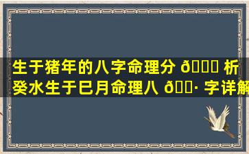 生于猪年的八字命理分 🐋 析（癸水生于巳月命理八 🌷 字详解）